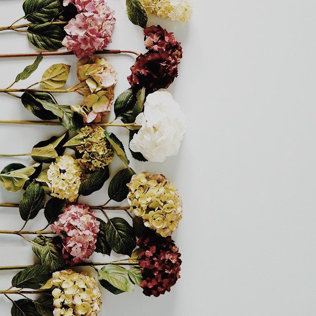 Celebrate #midweek today by getting yourself some fresh flowers. Instant #moodbooster!#wednesdayvibes #flowerpower