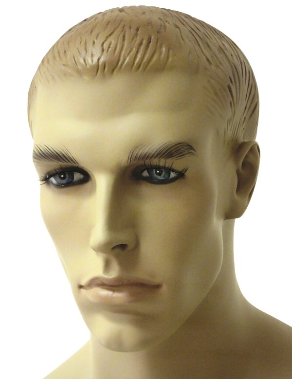 ShopSuppliesLtd's tweet photo. SHOP NOW! #manniquins #bodyforms #femalemannequin #malemannequin #clothesdisplay #windowdisplay
Massive Range!
https://t.co/duiq9bBAyW https://t.co/7VU794qv9G