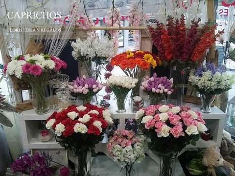 florescapricho's tweet photo. Las nuevas colecciones de #FlorArtificial ya están en tienda Contacta.
TLF 91 605 06 07 https://t.co/BUaoyZRNgd