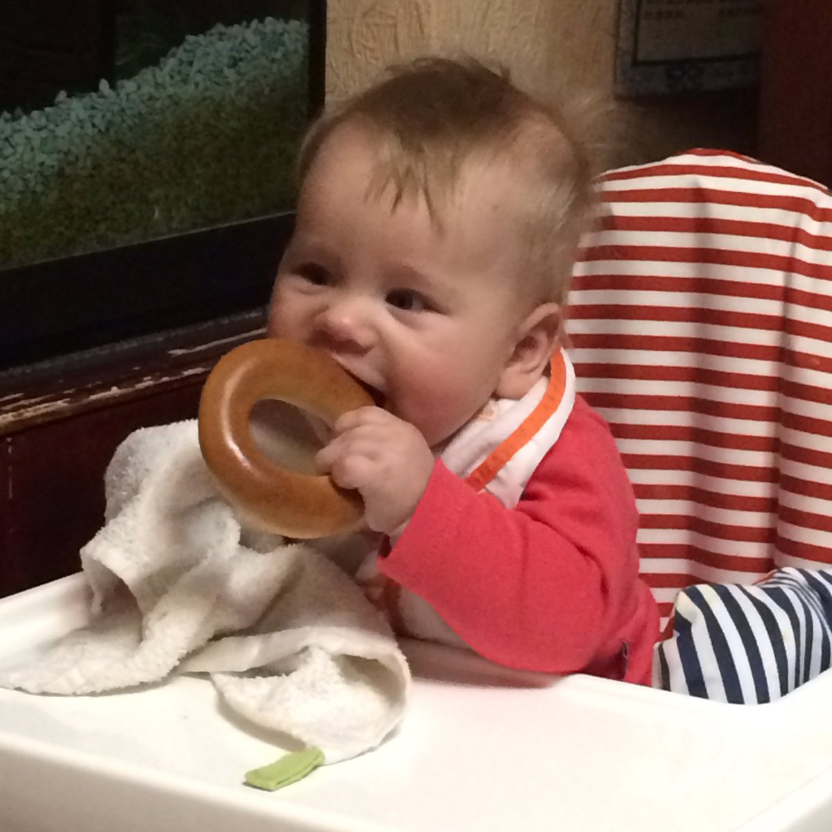 gaalyaaa's tweet image. эт я грызу гранит науки