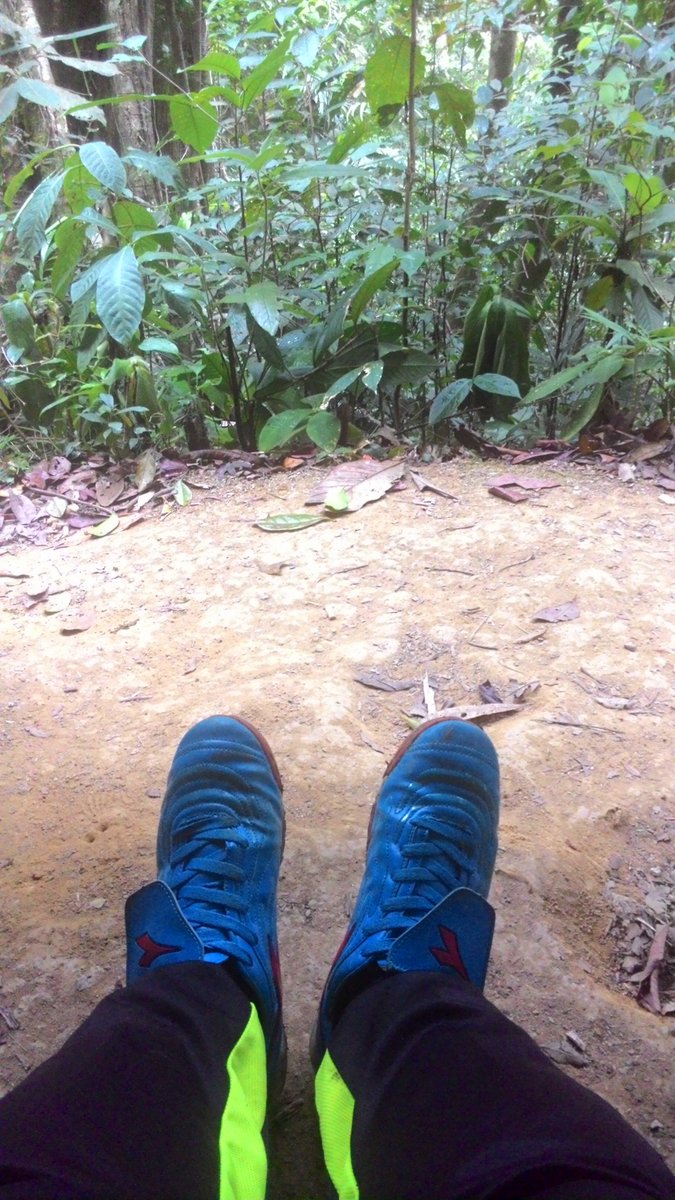 bilatwitberkata's tweet photo. Dah selesai. Moh le balik. Sakit sana sini. Tumitku paling teruk. #FraserHill #PineTreeTrail https://t.co/xhvXLOe9qB