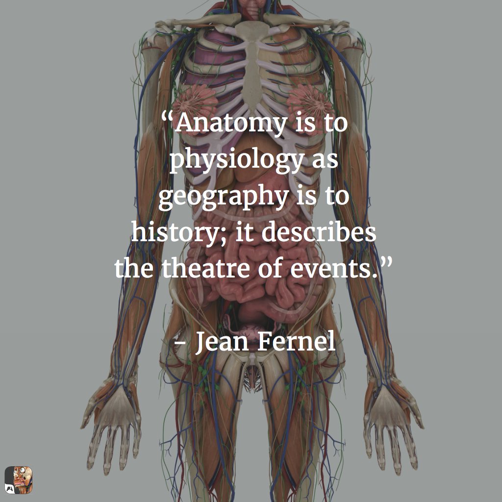 Anatomy Is To As Physiology Is To