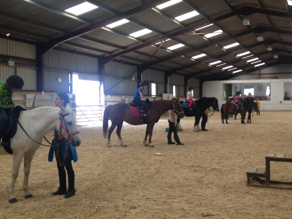 thegaitpost's tweet photo. National Give Horses a Go Weekend hailed a success @hoofride https://t.co/zLBPw5P60P https://t.co/bXPkFOOfKs