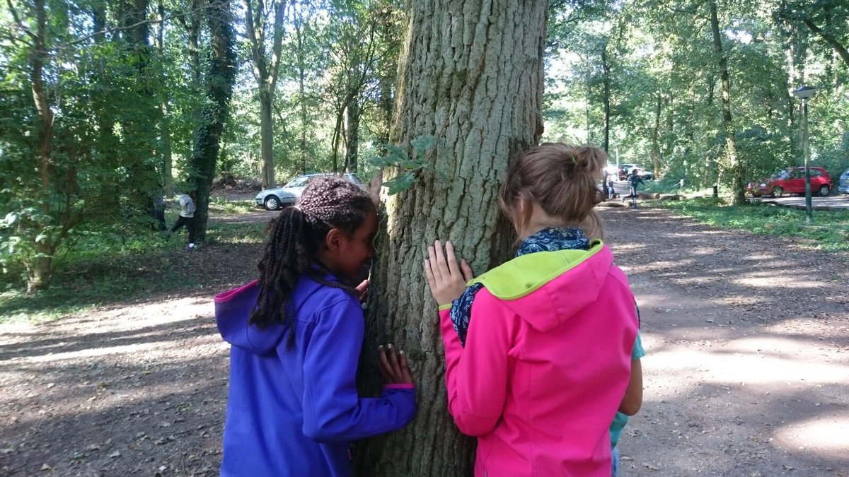 lidwinaschool's tweet photo. 'Bord voor de kop' #groep8a #schoolkamp https://t.co/KOWXJA6GTh