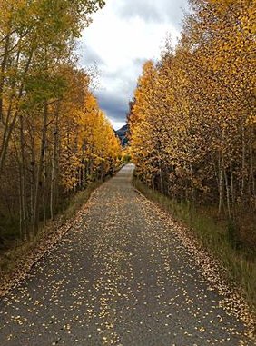Color is still great in the high country. How long will it last? 9newsmorings 9news