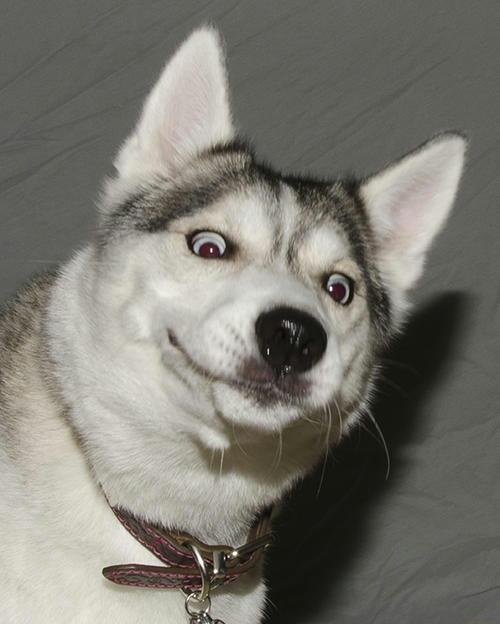 Jetgranger's tweet image. 