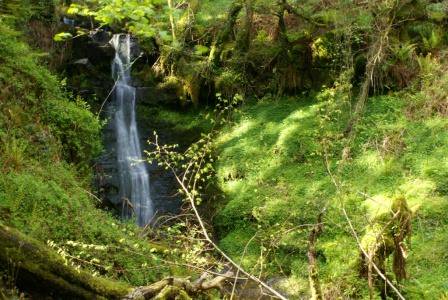 #WoodlandWorkshop: Bringing our ancient forests back from the brink: ow.ly/j7Yw304DHe1 @WoodlandTrust #PAWS