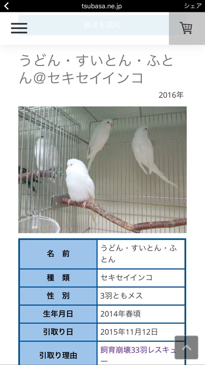 里親会のページに載ってたインコの名前が秀逸すぎる 最後のは卑怯 Togetter