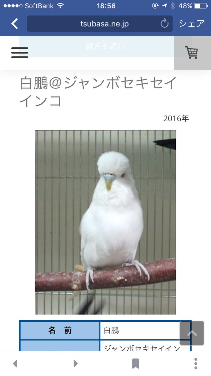 里親会のページに載ってたインコの名前が秀逸すぎる 最後のは卑怯 Togetter