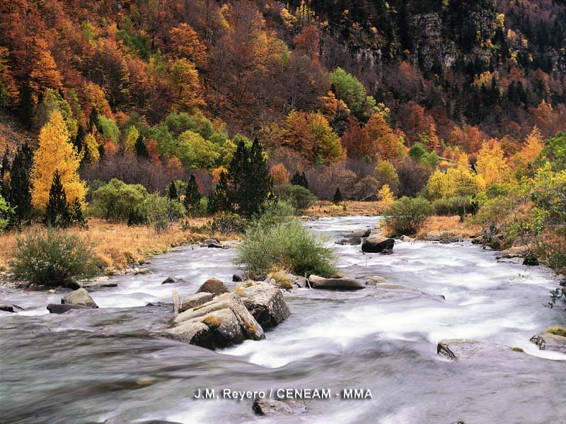 gobmapa's tweet photo. 🍂🍂🍂 El #otoño nos seduce con su magia y belleza iluminando con matices únicos nuestros paisajes. ¡¡Disfrútalo!! #BienvenidoOctubre https://t.co/qZefERal7d