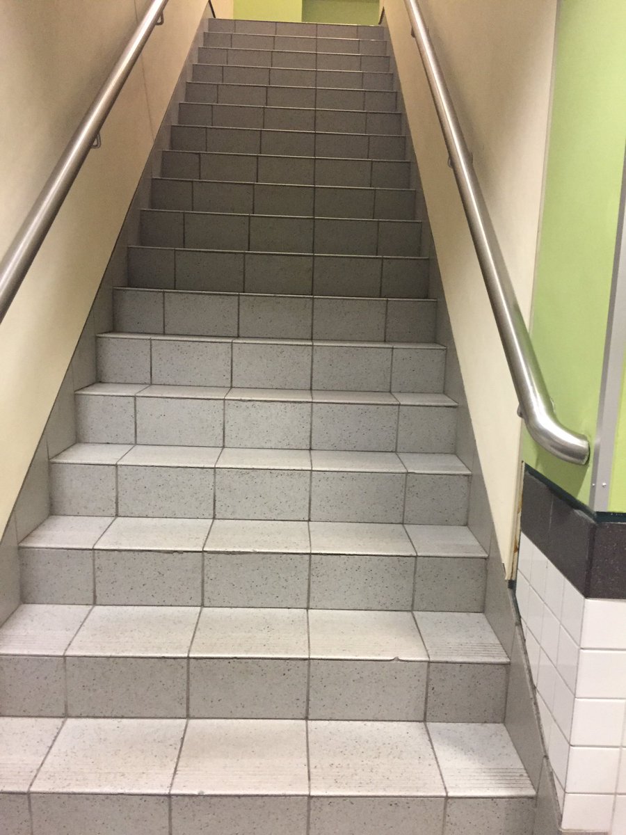amyfishwrites's tweet photo. First time at the gym in months and stairs to exit look like the snake path at Massada #oyvey #stairs #workout #doneo https://t.co/i8v4CKORyN