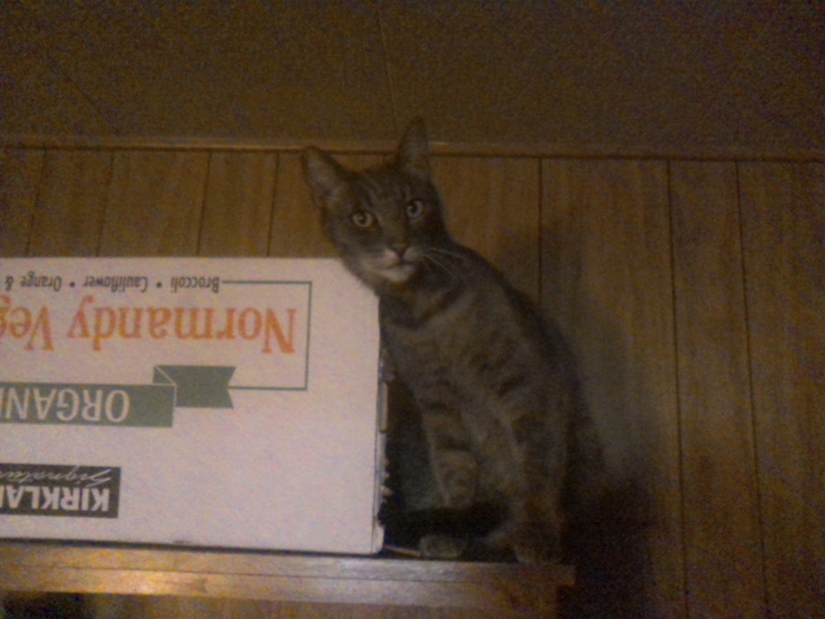 HowCome2017's tweet image. 