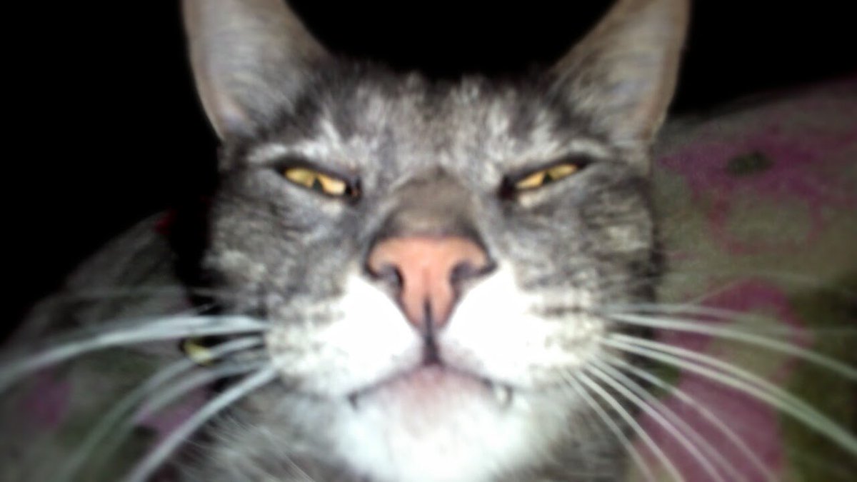 HowCome2017's tweet image. 