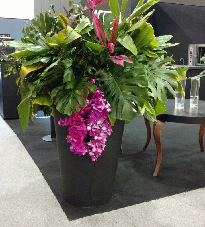 Estas macetas gigantes formaron parte de la decoración que realizamos para <a href="/ZonaMaco/">ZⓢONAMACO</a> !!