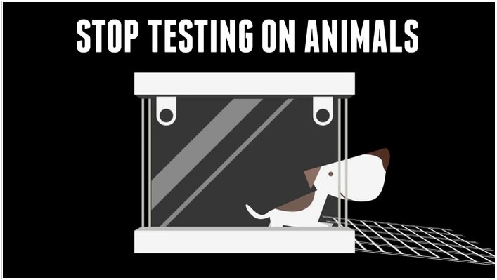 DoAssignmentNet's tweet image. How to be #persuasive enough #writing against #animal #testing? doassignment.net/blog/persuasiv…