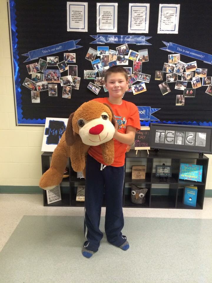 MarshallNWSD's tweet photo. Bring a stuffie to school day @MarshallNWSD #teddybears https://t.co/wDdWjFvlAh
