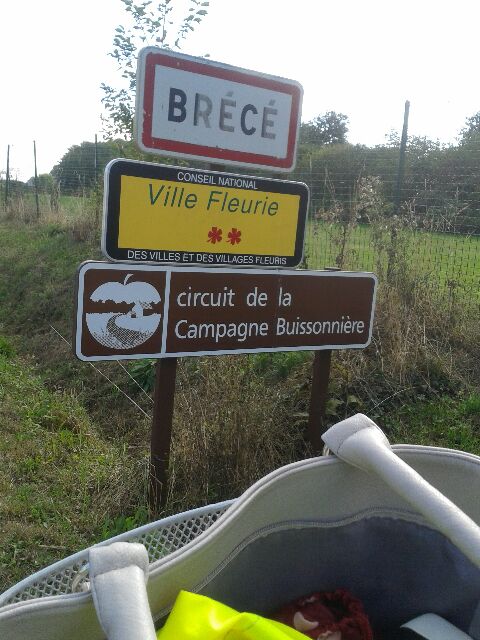 brigitte071727's tweet photo. @mobilacteurs @GroupeSECOB Le coach équipe SECOB également en VAE pour
aller travailler, super temps génial ! https://t.co/jpXwQgmjUq