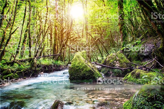 Gregory_DUBUS's tweet photo. Le #Jura offre des vues #splendides ! Une sélection de #photos : https://t.co/bnruENE90d #MontagnesDuJura #MagnifiqueFrance #MyFrance https://t.co/TUb2D4SxGK