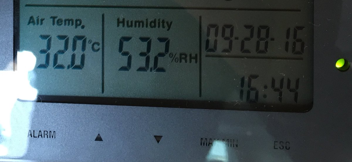 Neaforma's tweet photo. Another hot and sweaty day in our @UCIDoha2016 climate chamber! @VerandasWCT #brperformance https://t.co/aqQBjIEcJc
