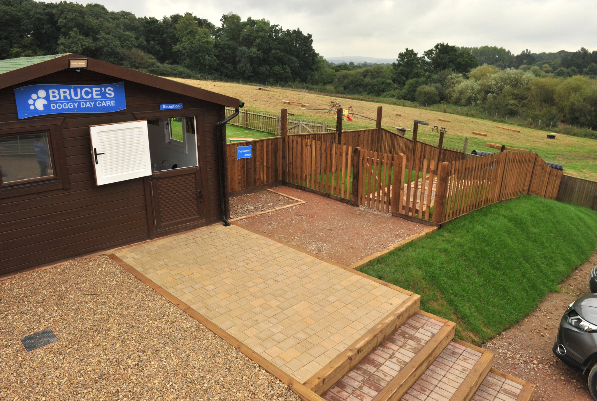 Bruce's doggy hotsell day care cobham