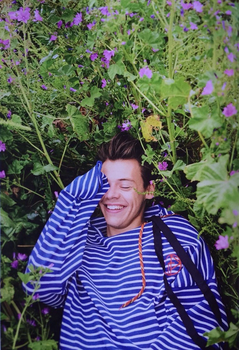 best harry pics (@hstylespics) on Twitter photo 