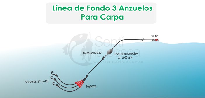 Visible Camino léxico Senti la Pesca on Twitter: "Taller de pesca| Linea para carpas.  https://t.co/dhMI0maPze https://t.co/0WB7ZNbgoA" / Twitter
