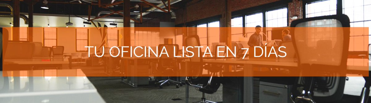 OFITURIA tweet media
