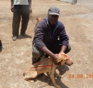 sayialel_says's tweet photo. Man's best friend: now rabies-free! 2853 Laikipia animals vaccinated over 4 weekends of #LRVC2016 @ZoonoticDisease @RabiesAlliance https://t.co/5BwszAweCy