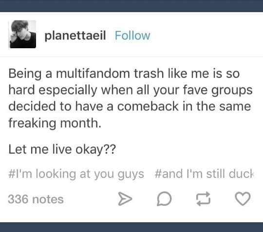 saranggiiirls_'s tweet photo. Infinite, 2PM, Got7, Monsta X, SHINee, BTS. 💸💸💸 #multifandomfeels #whatismoney #trash #whydoistanthem #dead #bye 👋👻🙈 https://t.co/1xPFKcKpBX