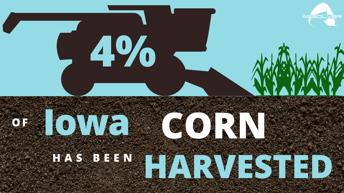 agsolver's tweet photo. Monday's @USDA crop progress report says 4% of #Iowa corn has been harvested. https://t.co/SHLPrf4eME https://t.co/sWabUqt4CR