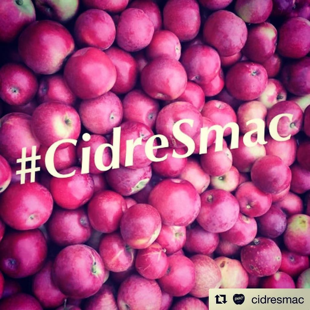 DomaineNeige's tweet photo. L'avez-vous essayé?// Did you try it? #cidresmac #smac #madeinquebec #boirelocal #defisaq … https://t.co/8TbocnRQS3 https://t.co/69JM9wnkoA