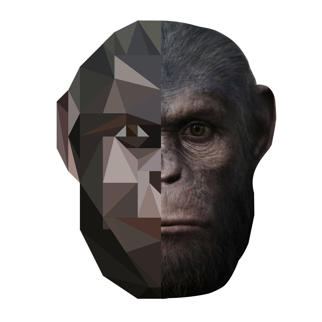 RedMonkeySigns's tweet image. GORILLA #gorilla #PlanetofTheApes #design #graphicdesign #designs #graphics #adobe #illustrator #flatdesigns #lowpoly #clean #vector #art