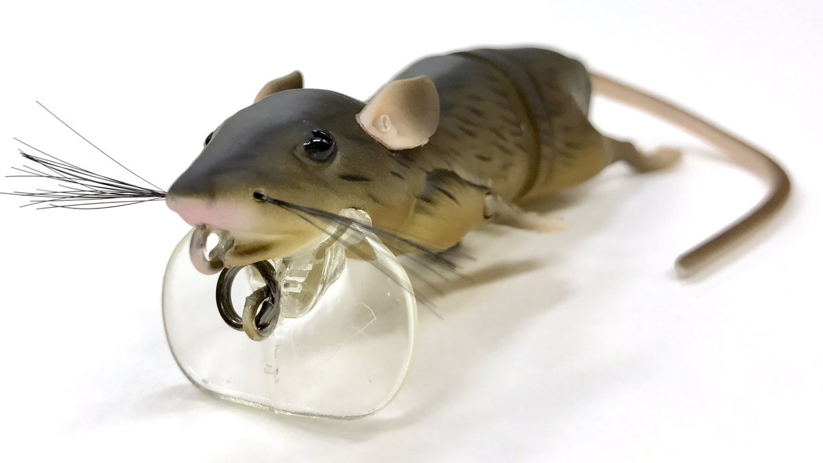 sansuifishing's tweet photo. Savage Gear
【3D Rat】
#SANSUI #SHIBUYASANSUI #SavageGear #3DRat #fishing #LUREfishing #LURE #BASSfishing #バス釣り #釣り https://t.co/RKBl8Y5S0z