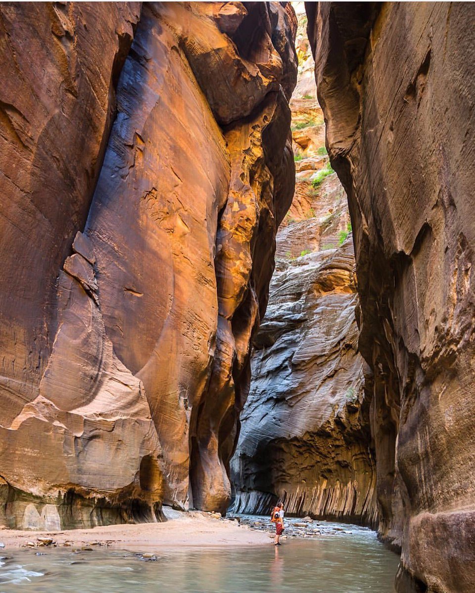 Tripstir app tweet media