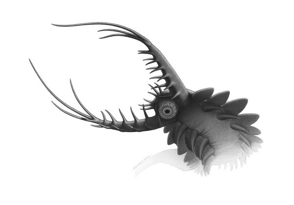 ScienceArtBlog's tweet image. Paleo art by @Paleocreations:

Penis Worm Mouth Monster
theconversation.com/penis-worm-mou…

#SciArt #paleoart #PenisWormMouthMonster