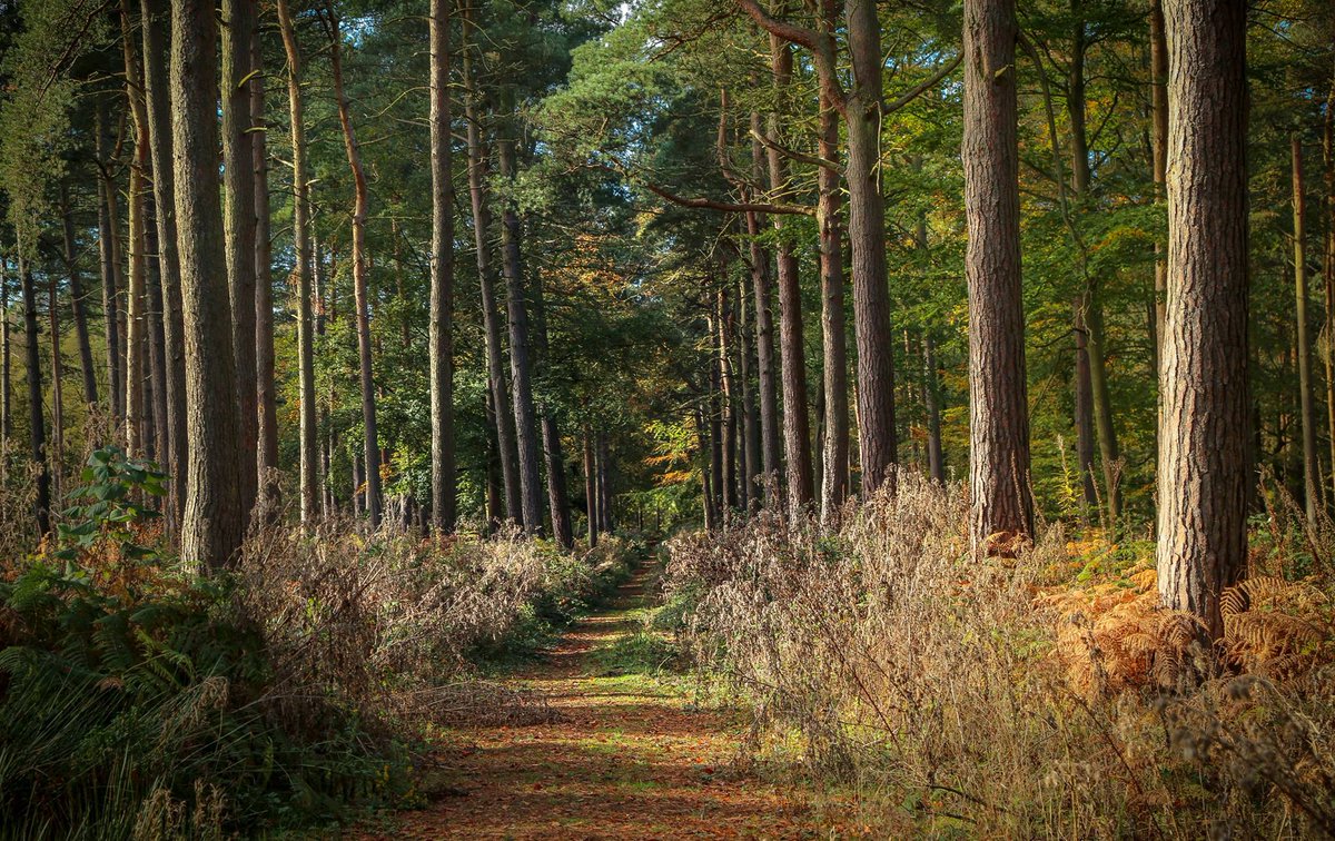 A Residential Recording Studio in Shere, 8 miles from Guildford, Surrey.