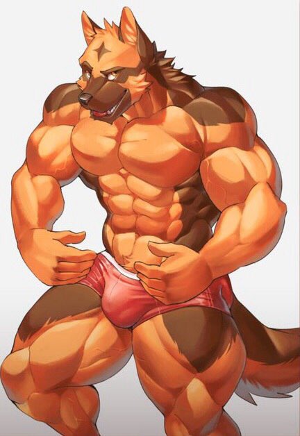 Muscle Furry (@musclefurrygay) / Twitter