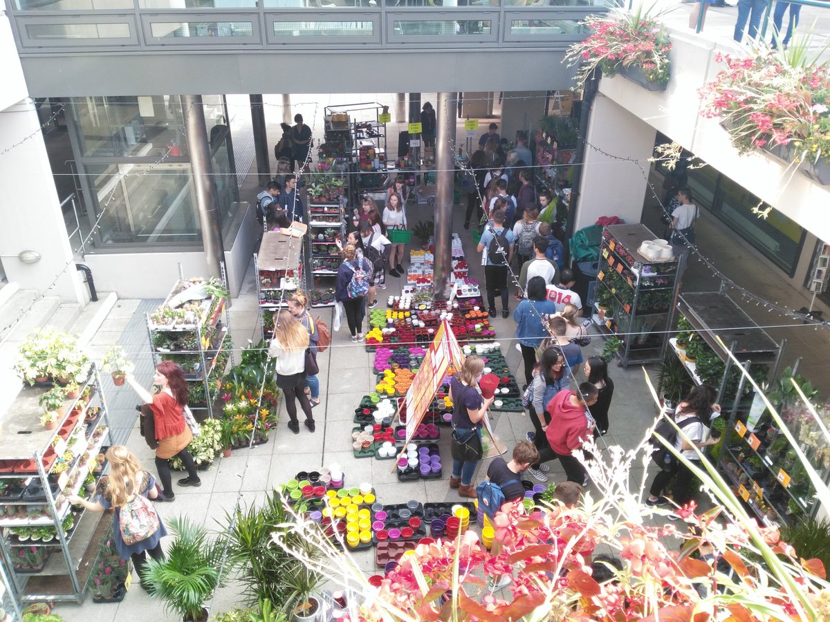 JoSwo's tweet image. Missing that homey feeling in your new room? Head down to The Street and pick up a Potted Plant Pal!! @UnionUEA #ueafreshers