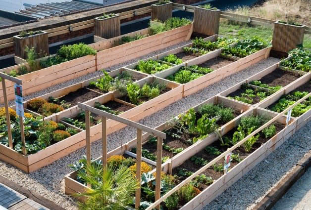 KernwaardeGroen's tweet image. Groen in stad is waardevol, ook volgens @growndowntown bij event van #DGBW in samenwerking met @CFPduurzaamheid en @ABNAMRO