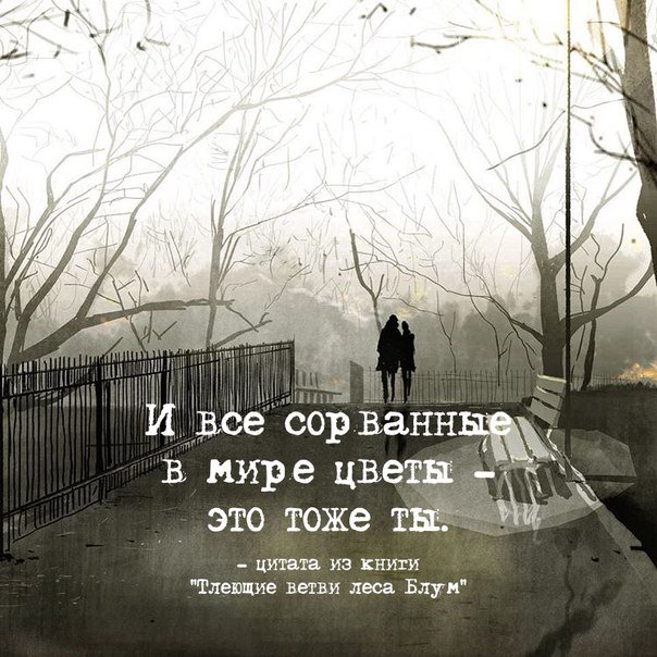 Бродяги дхармы цитаты. Цитаты про природу. Лес цитаты из книг. Лес цитаты и афоризмы. Тлеющие ветви леса блум книга.