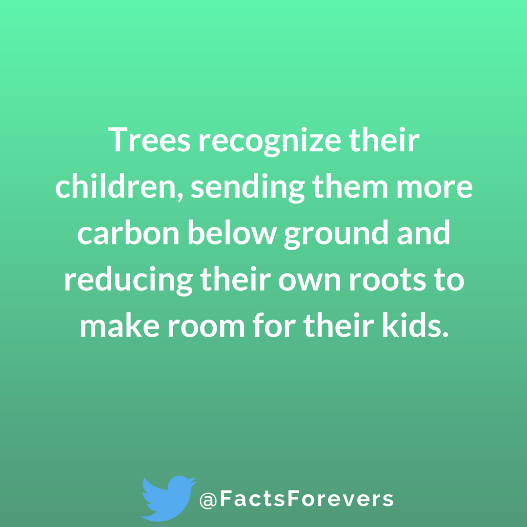 FactsForevers's tweet photo. https://t.co/iwDQpSTGut
