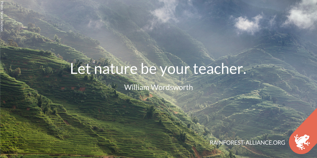 Emma Brennan (emmabrennan200) Twitter