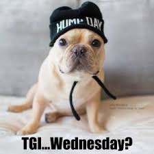 TGI....Wednesday? Happy Hump Day!! #TheSnackStation #ThisAndThatCanineCo #HappyHumpDay #Hump #Day #Wednesday