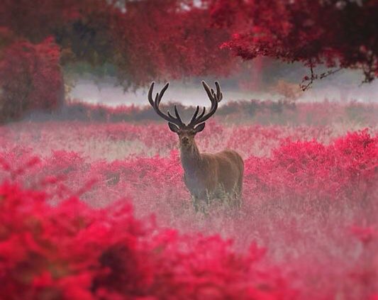 Happiness will never come to those who fail to appreciate what they already have.

Buddha