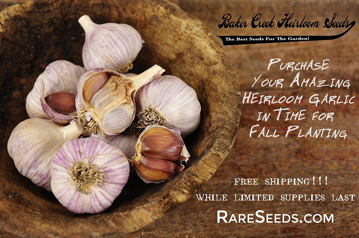 Baker Creek Seeds (rareseeds) Twitter
