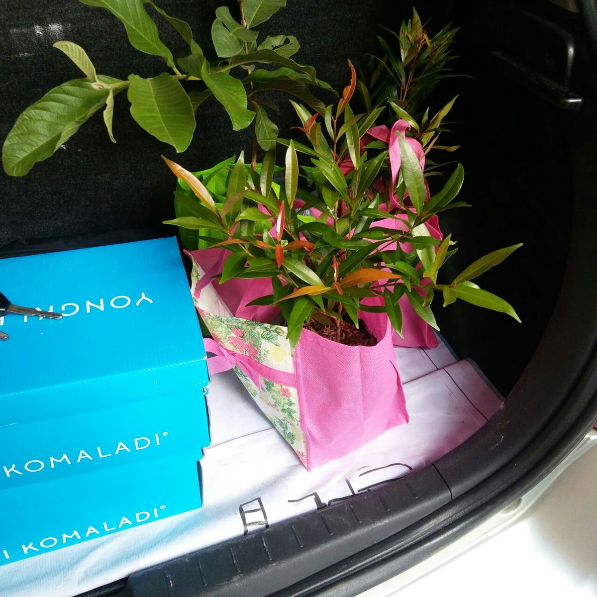 dhitahandayani's tweet photo. Ni souvenir ter go green yg pernah gw dpt. @TraxFMJKT https://t.co/S5f9LSyLlJ