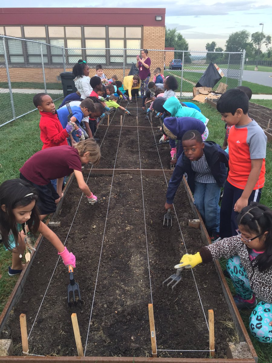 mrsorrplv's tweet photo. 2nd grade cultivating the soil - in the rain!! Getting ready for K and 1st to plant seeds! @PLVBears #PolarPride https://t.co/B89tRwfv3q