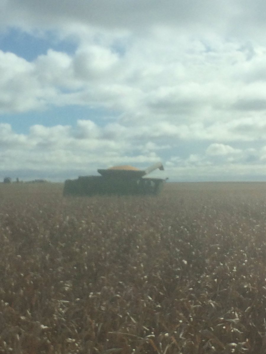 RToohill's tweet image. @ToohillKevin on the job today#workstudy. #nothooky