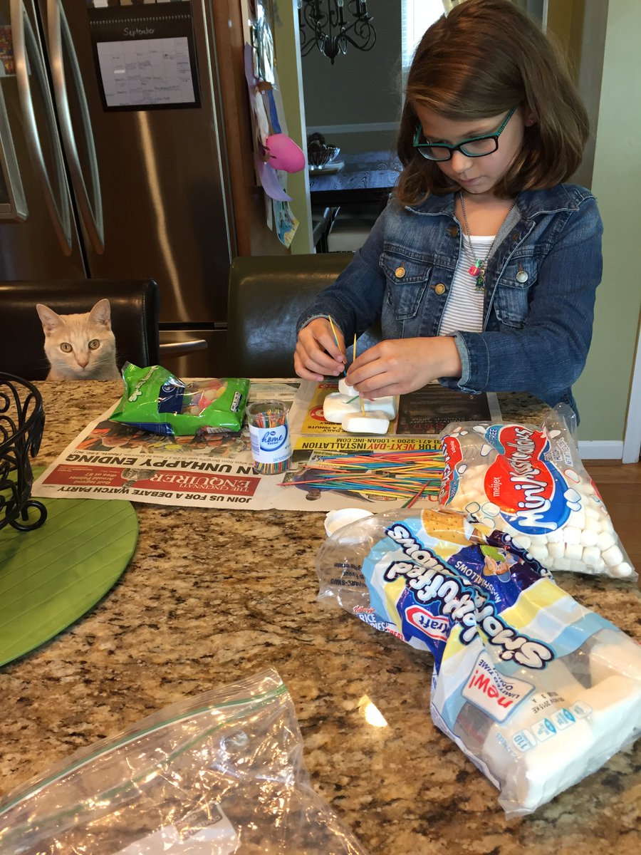 MCSSTEAM's tweet photo. Paige built her candy tower with a little help from a friend! :-) Even cats love engineering! #growinggreatnesstogether #septemberstem https://t.co/UUjDrf8adH