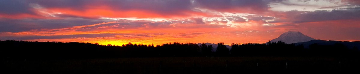 AngieHemenway's tweet photo. Feel blessed to see this every morning. #PNW #mtrainier #ortingvalley #home #bestplaceonearth #porchwithaview https://t.co/jhHOMGPGW6